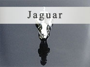 Jaguar Daimler V8